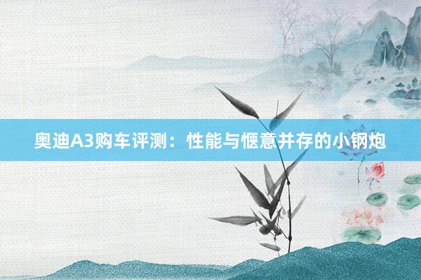 奥迪A3购车评测：性能与惬意并存的小钢炮